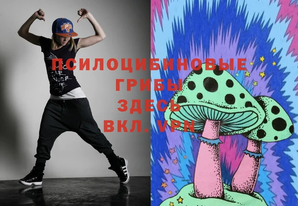 мяу мяу мука Кукмор
