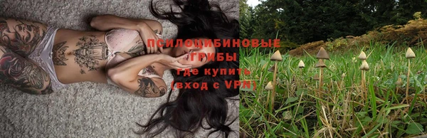 ALPHA-PVP Краснослободск